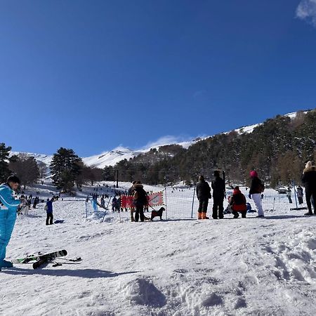 Agriturismo Sole Di Sicilia Randazzo Dış mekan fotoğraf