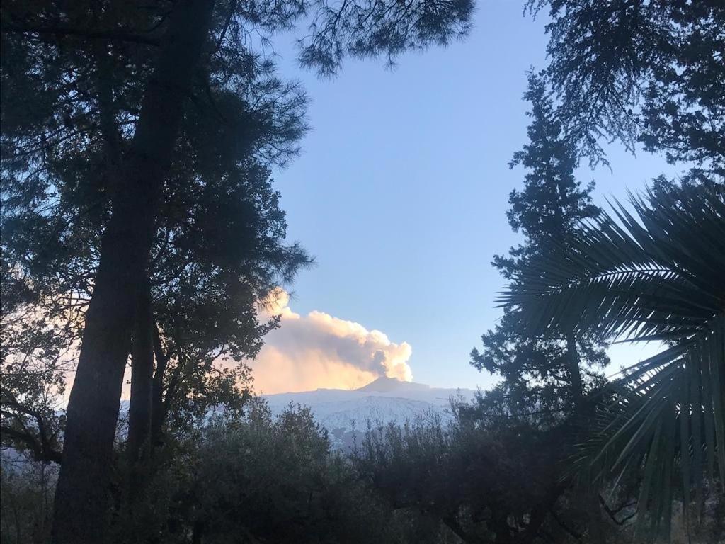 Agriturismo Sole Di Sicilia Randazzo Dış mekan fotoğraf