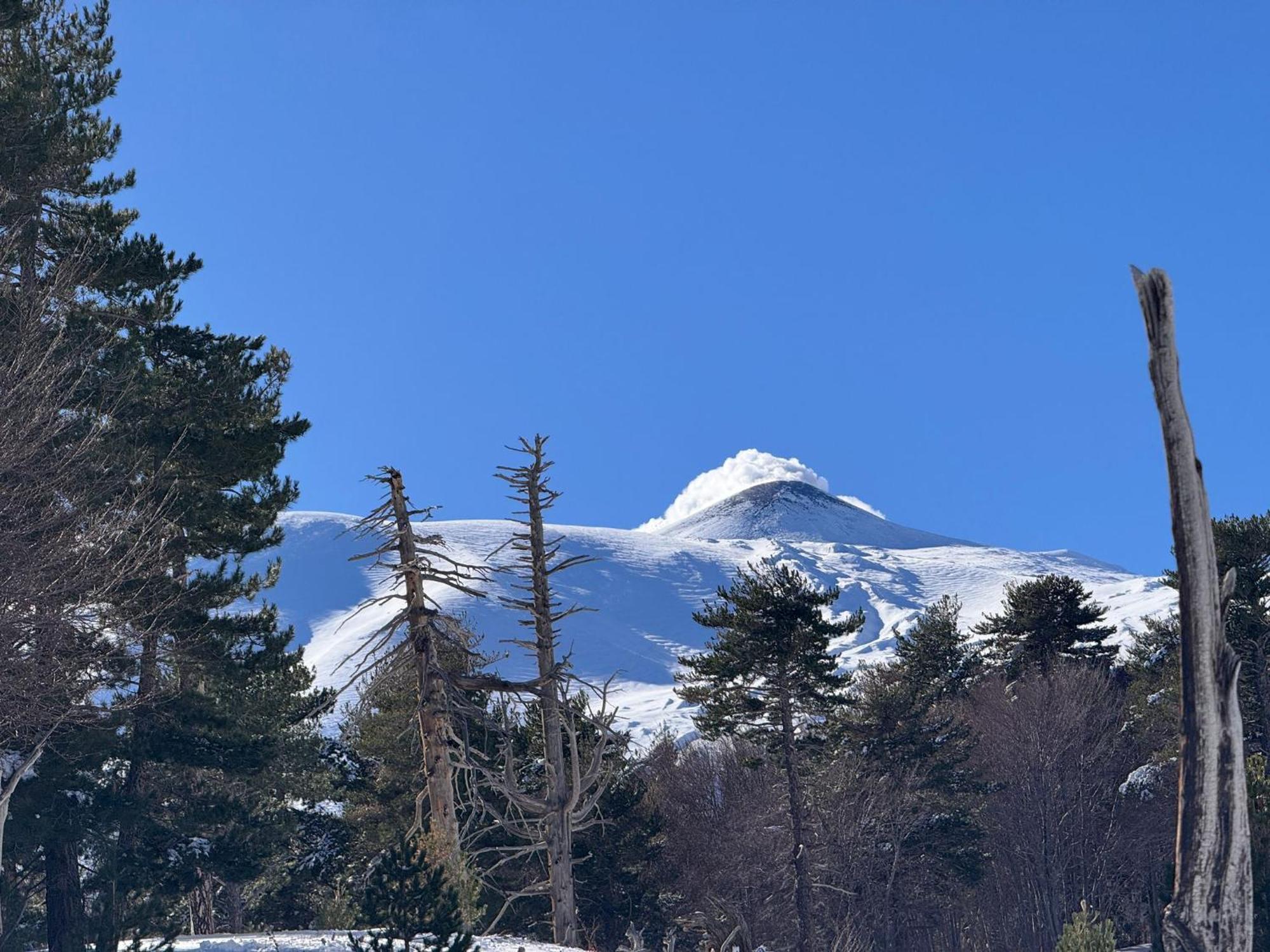 Agriturismo Sole Di Sicilia Randazzo Dış mekan fotoğraf