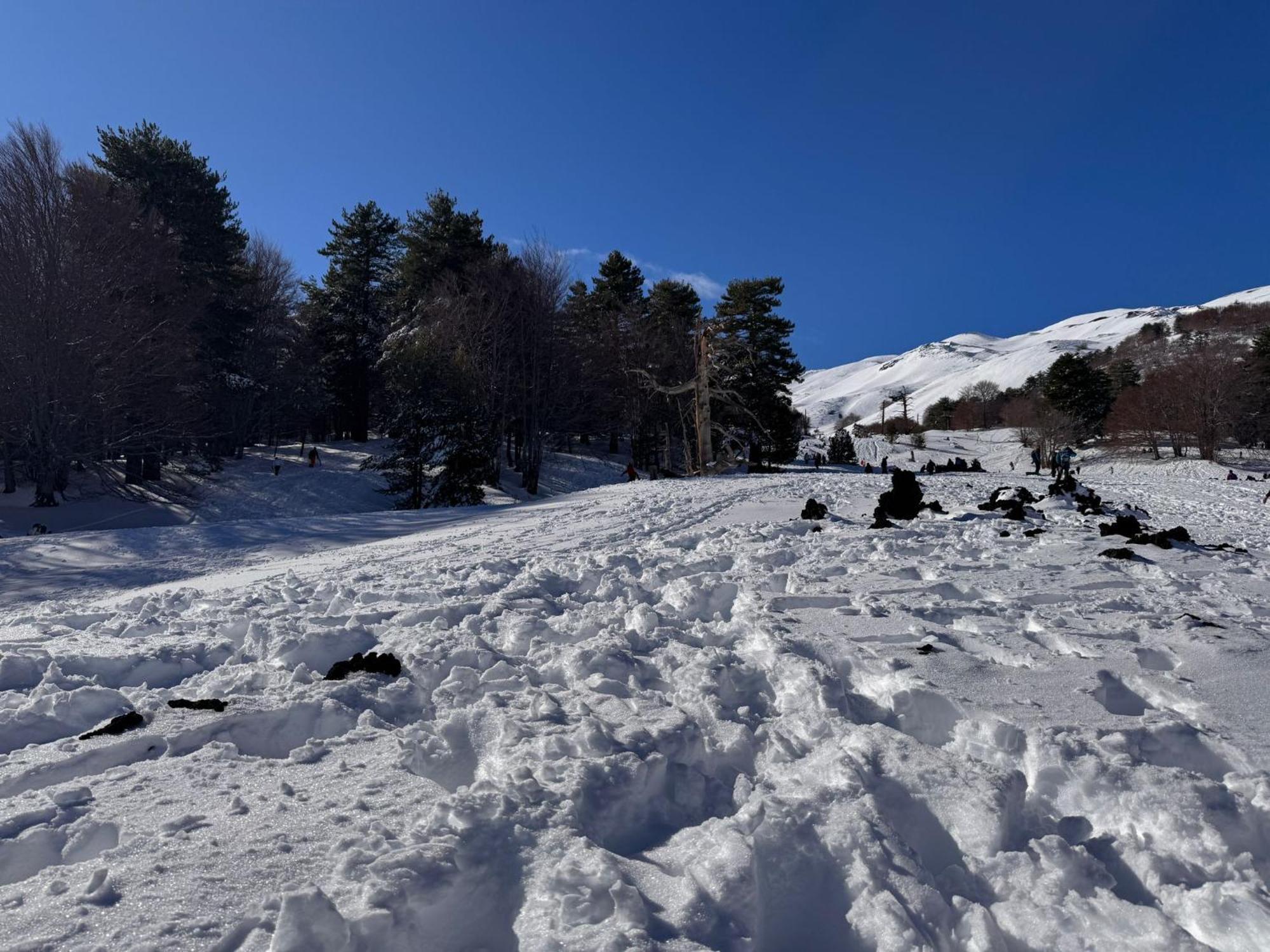 Agriturismo Sole Di Sicilia Randazzo Dış mekan fotoğraf